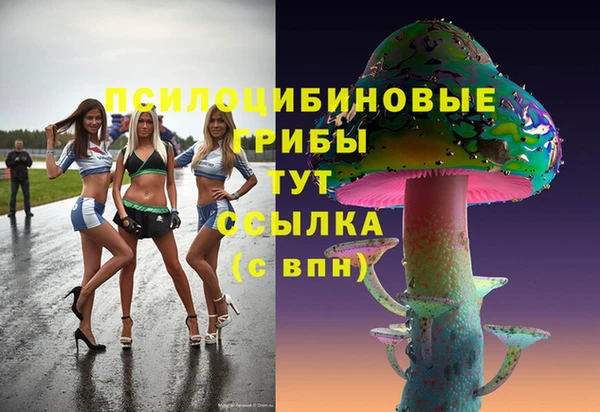 сатива Балахна