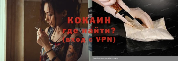 сатива Балахна