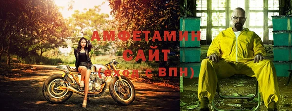 сатива Балахна