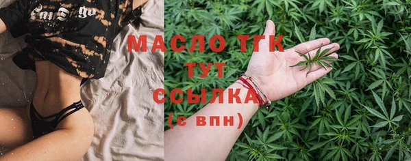 сатива Балахна