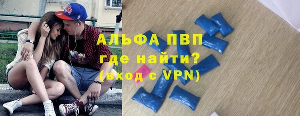 сатива Балахна
